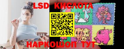 гашик Гатчина