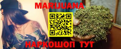 гашик Гатчина