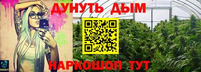 гашик Гатчина