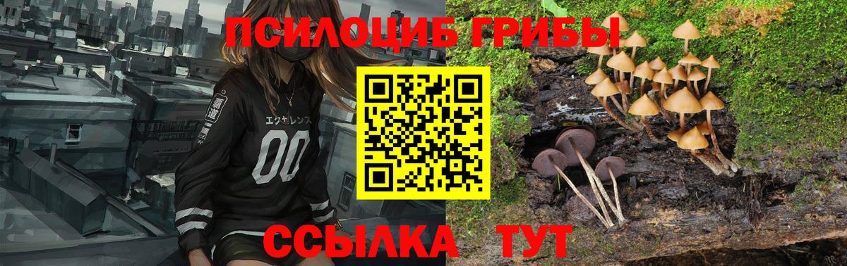 Псилоцибиновые грибы Magic Shrooms Муравленко